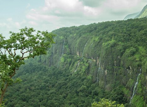 maharashtra forest tourism